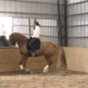 Meet your Posher, Karri